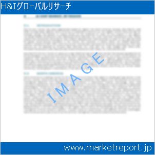 市場と産業調査レポートのイメージ